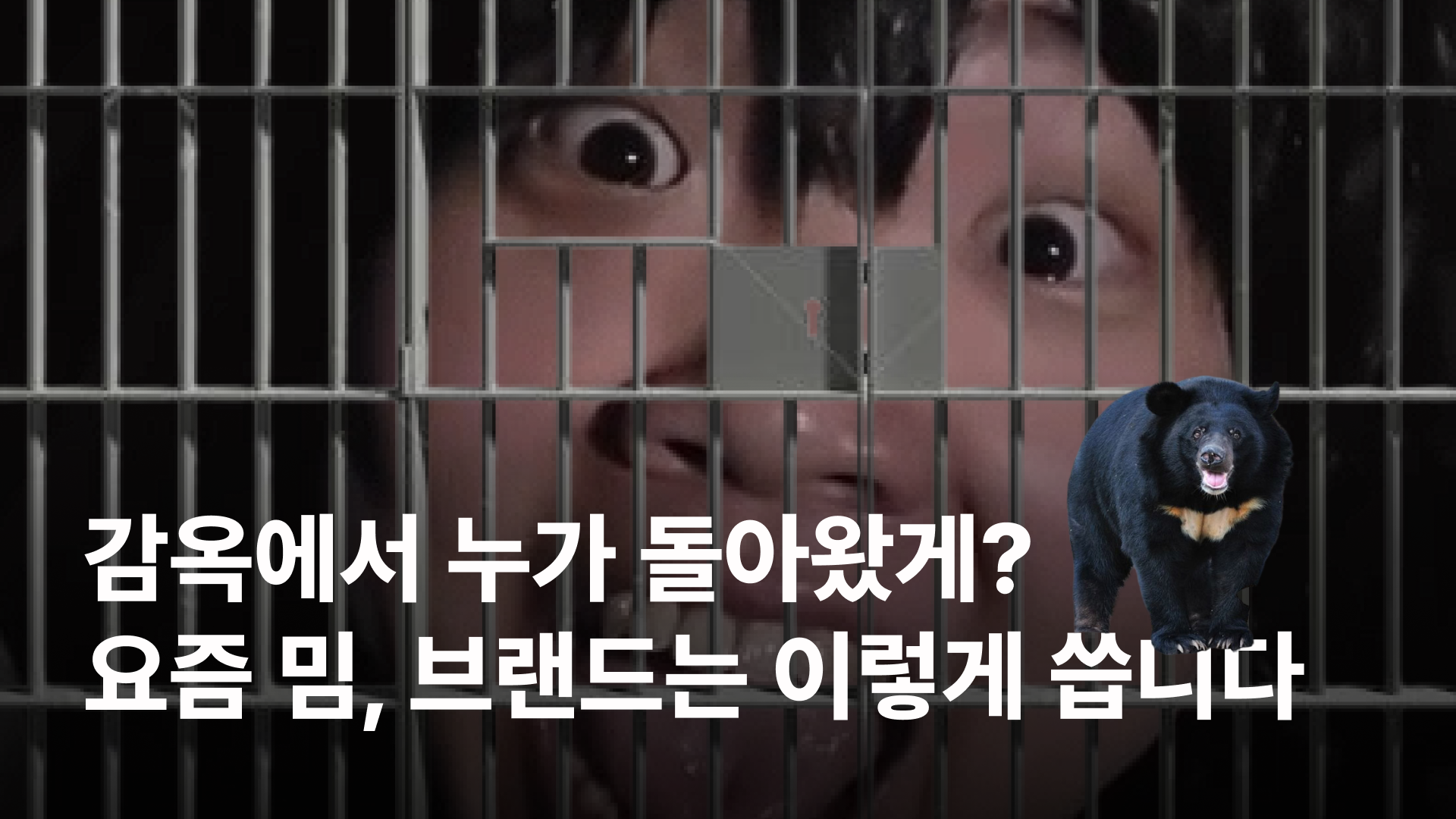 오늘의 인사이트 썸네일